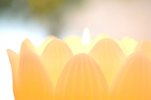 PXT00002194372101.jpg